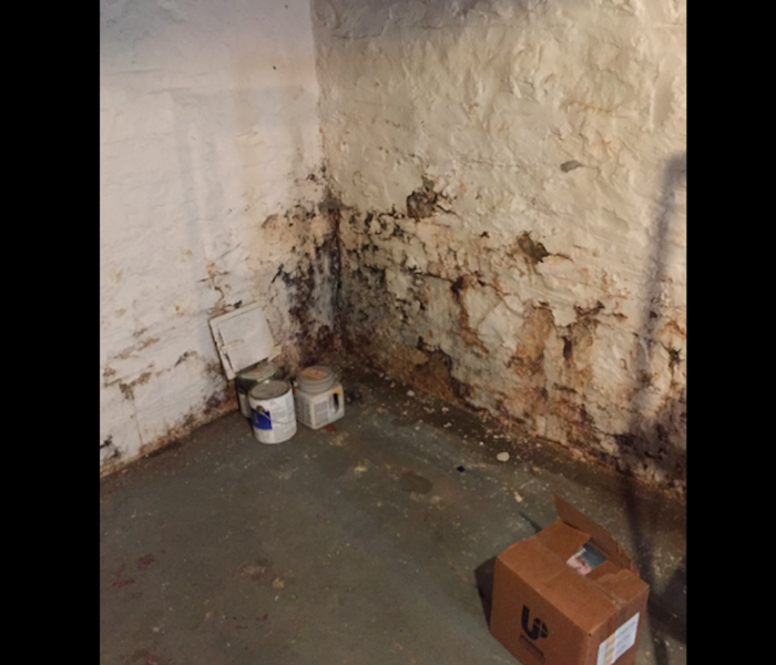 White wall cracked with brown dirt, and black mold. 