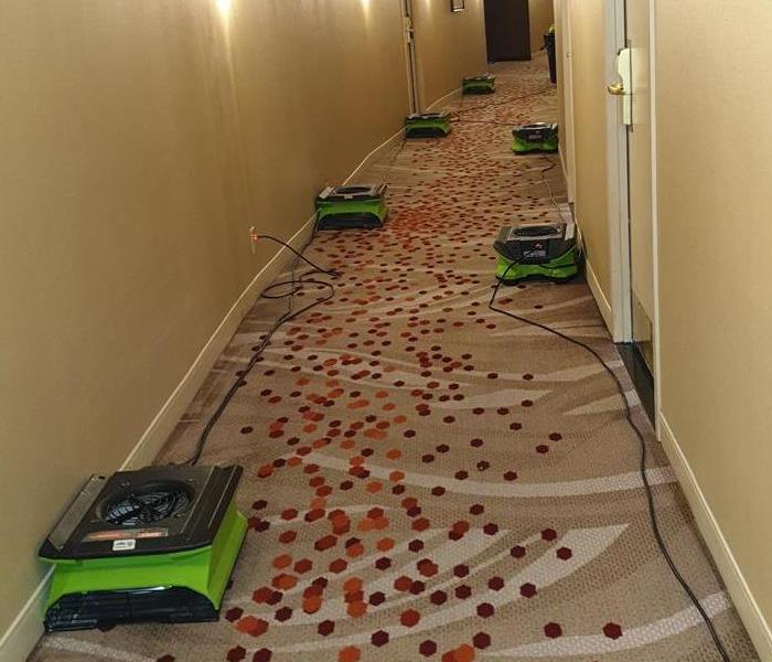 Seven air movers on a carpet hallway floor. 