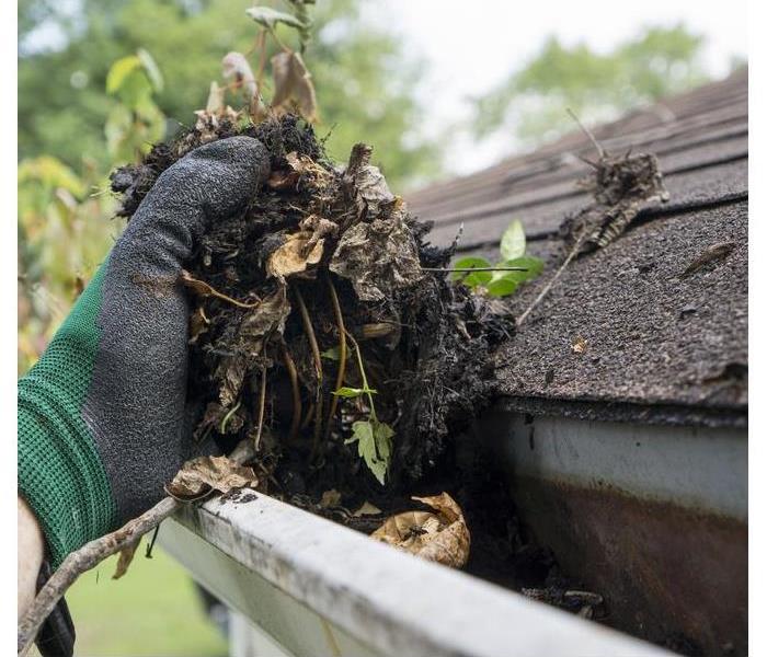 Hand with glove cleaning a gutter