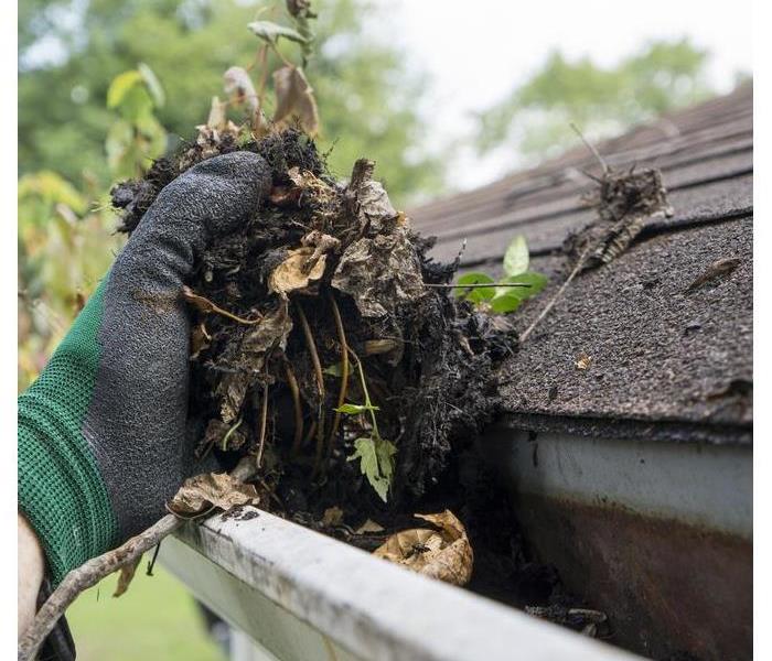 A hand with a glove removing debris from a gutter